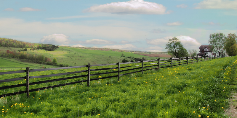 Understanding Land Disclosure Statements in Texas