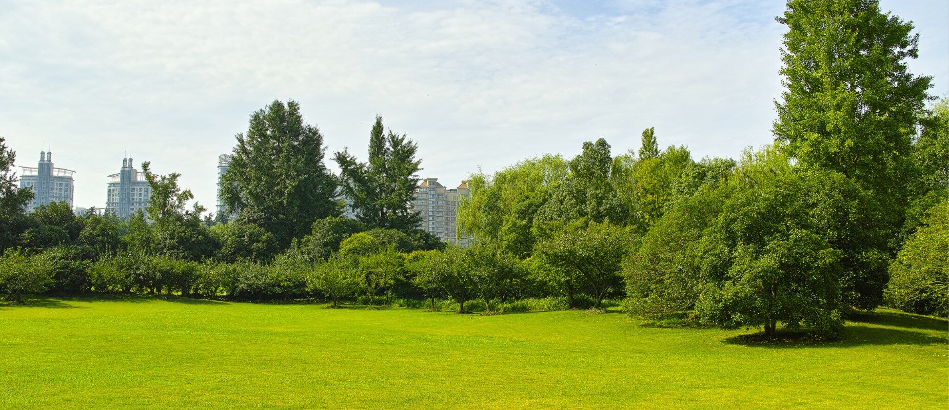 Sell Landlocked Land in Texas