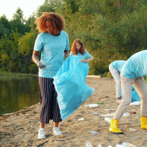 Selling Mineral Rights Made Easy Plano