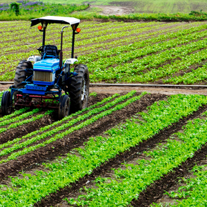 Current Land Prices Per Acre in Texas
