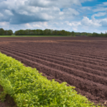Land Worth and Acre Pricing in Texas