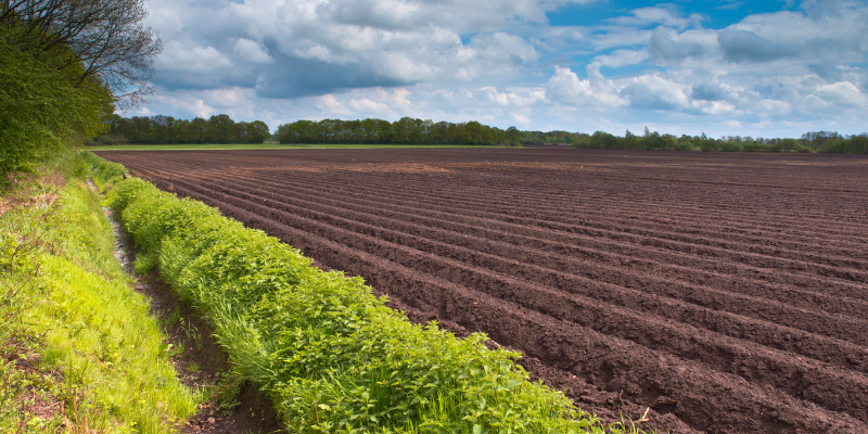 Land Worth and Acre Pricing in Texas