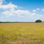Selling Farmland Texas