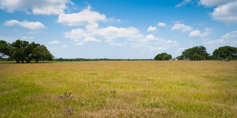 Selling Farmland Texas