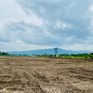 Best Ways to Sell Raw Land in Texas