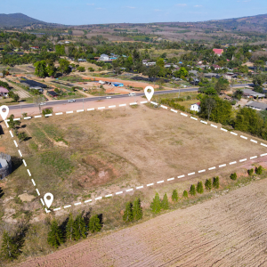 Guide to Read a Land Survey in Dallas