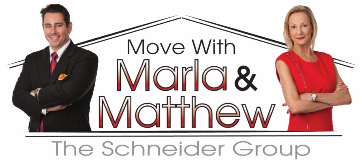 The Schneider Group logo