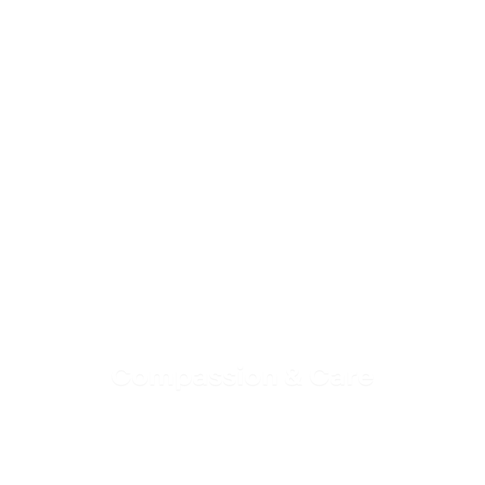 Compassion-Care-Core-Value-Icon