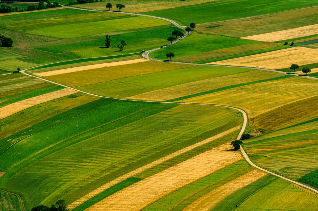 Sell Your Vacant Land The Hassle-Free Way