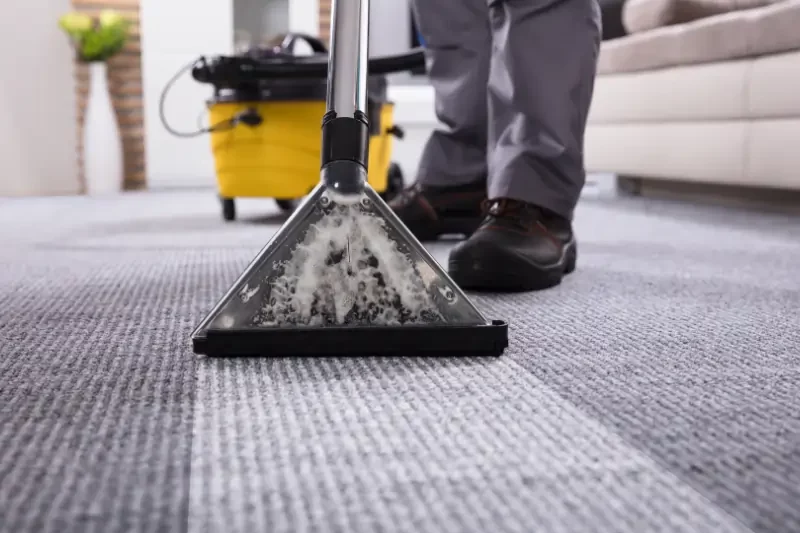 Professional-grade carpet cleaners