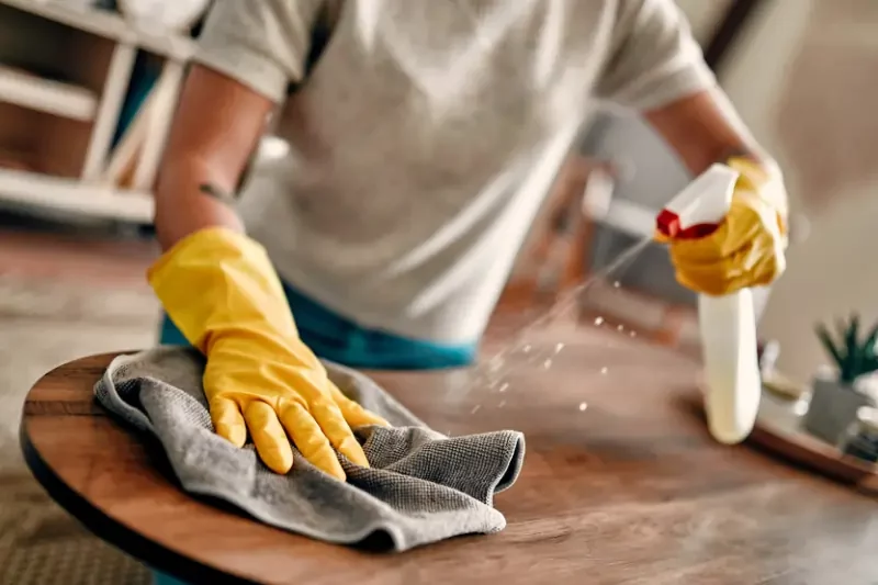 Cleaning Hoarder's House