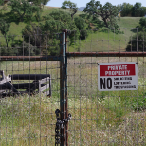 Navigating Squatters Rights in Minnesota