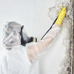 Sell Your House With Mold in Minnesota