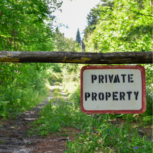 Squatter Rights and Abandoned Properties in Minnesota