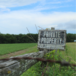 Squatters Rights in Minnesota
