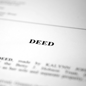 Steps to File a Quit Claim Deed in Minnesota