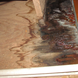 Damage Resulting from Tenant In Minnesota