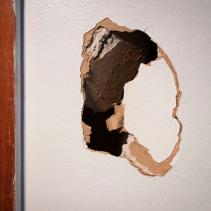Property Damage Linked to Tenant In Minnesota