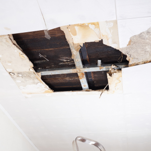Property Damage by Tenant In Minnesota