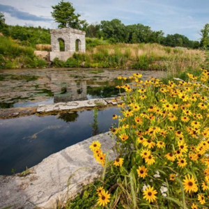 Interesting Facts in Twin Cities