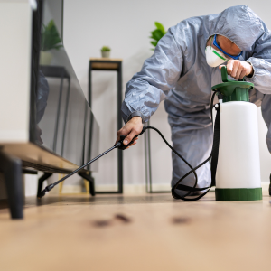 Tips for Selling a House With Termite Damage St. Paul