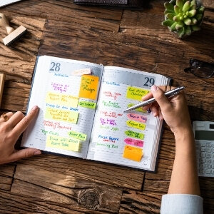 Showing Schedule Real Estate Agent