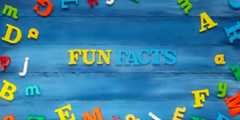 Cool Facts [market_city]