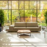 Key Advantages of Living in Raleigh Jobs, Education, and Lifestyle