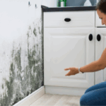 What to Know About Selling a House With Water Damage In Illinois