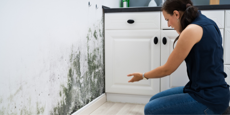What to Know About Selling a House With Water Damage In Illinois