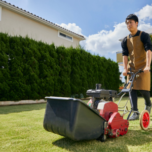Sell Your House With Mold in Bloomington