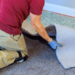 Should You Update Carpet Before Selling Your Home in Tampa