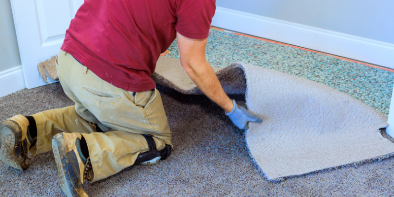Should You Update Carpet Before Selling Your Home in Tampa