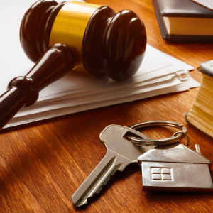 How to Sell a Property With Termite Infestation in Florida