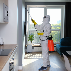 Marketing a Home With Termite Issues in Florida