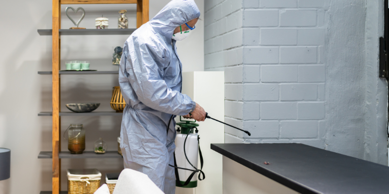 Selling a Home Affected by Termites in Florida