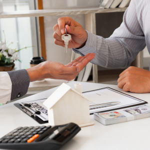 Tips for Selling a Termite-Damaged House in Florida
