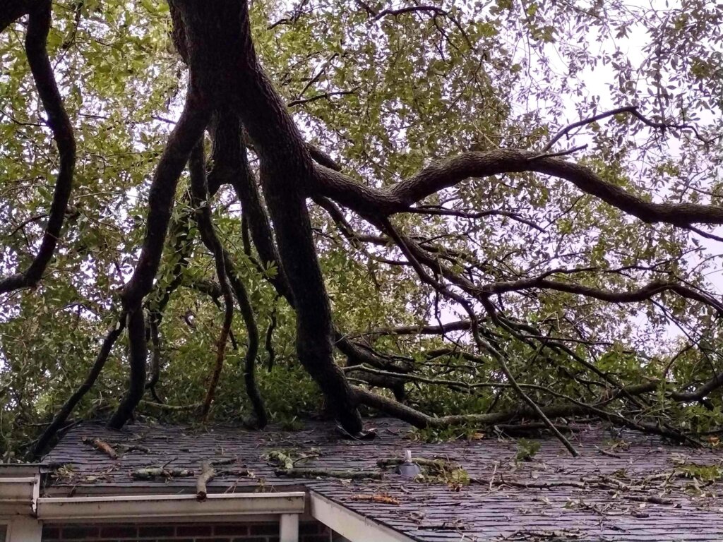 Storm Damage