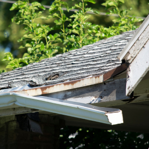 How to Sell a Home With Water Damage In Delaware