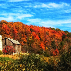 Is Pennsylvania a Good Location to Live In Pennsylvania