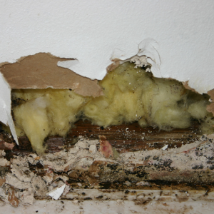 Selling House With Water Damage In Delaware