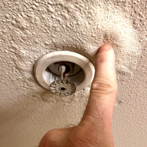 Selling Your House With Water Damage In Delaware