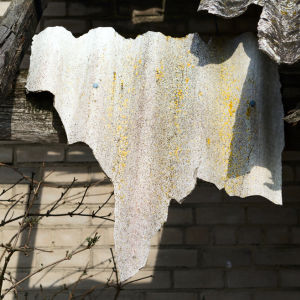 Selling a Home With Asbestos In Delaware