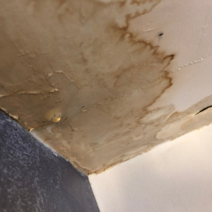 Steps to Selling a House With Water Damage In Delaware