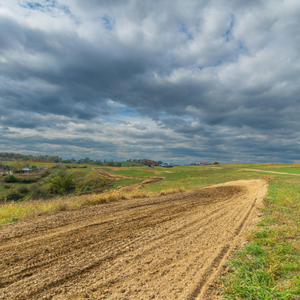 Complimentary Attractions Media