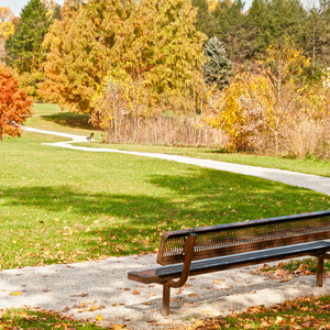 Free Activities Media