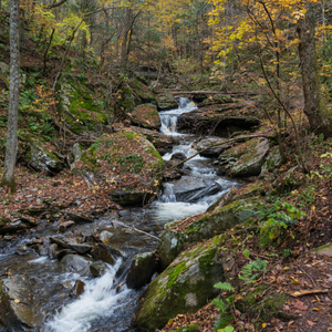 Interesting Facts Media