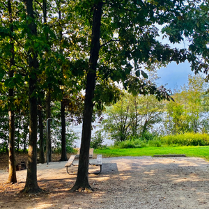 No-Cost Things to Do Media