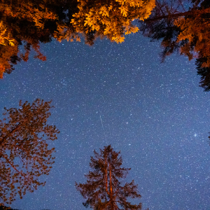 Lifestyle cost Media