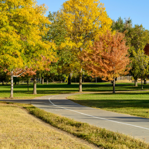 Map of Neighborhoods Media